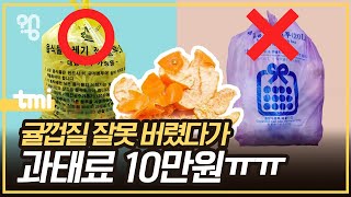 음식물 쓰레기와 일반 쓰레기 기준이 뭘까?