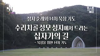 수리치골 성모 성지에서 드리는 십자가의 길 (묵상을 위한 14처 기도)ㅣ성지 순례와 14처 묵상 기도