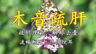 五音療疾丨木音疏肝丨流暢輕盈，悠揚悅耳，疏肝鬱理肝氣解肝怒！