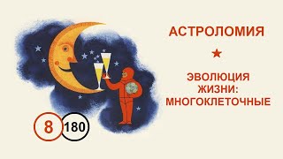 180. Эволюция жизни: многоклеточные. Лекция №8 по астроломии