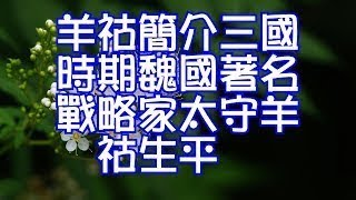 羊祜簡介三國時期魏國著名戰略家太守羊祜生平