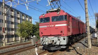 2016.12.3 さいたま市 源太郎踏切 ＥＦ８１機関車＋１２系客車　臨時列車「懐かしの急行列車で行く東京おとな旅」