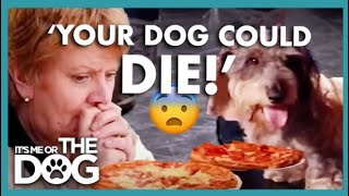 Owner Feeds her Over-weight Dog Pizza for Dinner😳 | It’s Me or The Dog