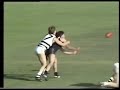 1984 vfl season highlights