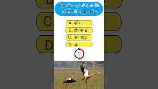 Gk questions| gk hindi question|| #shortvideo #gk #youtubeshorts #ytshorts