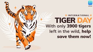 International Tiger Day 2021: With only 3900 tigers left in the wild, help save them now!