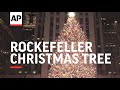 Rockefeller Christmas tree lights up New York