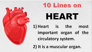 Few Lines on Heart in English | 10 Lines on Heart | About Human Heart in English