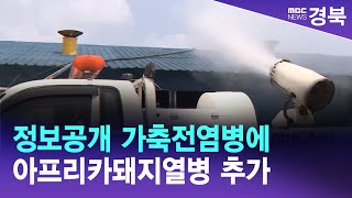 정보공개 가축전염병에 아프리카돼지열병 추가/ 안동MBC