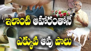 గోశాలల్లో పాల దిగుబడి పెంచుకోండి | Dr. Vijay Kumar Sharma