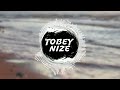 tobey nize x andrew fischer x calvin das nennt man liebe remix