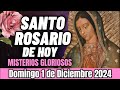 EL SANTO ROSARIO DE HOY DOMINGO 01 DE DICIEMBRE 2024 | MISTERIOS GLORIOSOS | ROSARIO DE HOY