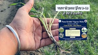 ਕਣਕ ਦੀ ਫ਼ਸਲ ਉੱਪਰ 2-4Dਕੀਤੀ ਆ ਤਾਂ ਵੇਖੋ ਕੀ ਬਣਿਆ ਪਿਆ #wheat #foliar #spray #boom #pump #punjabi #shorts