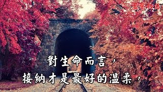 【溫馨物語】對生命而言，接納是最好的溫柔！