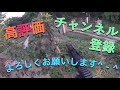 【砂銃２】【セル黒】電動ガンで出血⁉