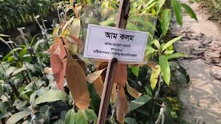 হর্টিকালচার সেন্টার নারায়ণগঞ্জ / Narayanganj horticulture centre পার্ট ১