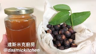 自製無患子清潔液｜DIY Soapberry Base Liquid｜How To