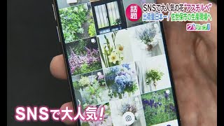 【グッジョブ！】SNSで大人気の花！！ アスチルベ【NCCスーパーJチャンネル長崎】