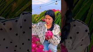 Experience the Joy of Cutting Fresh Dragon Fruit 🍉🍎🥭🍇 #shorts #fruit #nature