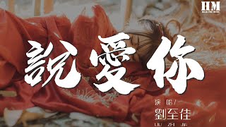 刘至佳 - 说爱你『更难以言喻 还以为是从天而降的梦境』【動態歌詞Lyrics】