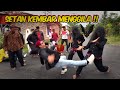 TERBARU BANG REY || PENDEKAR KEMBAR MERAJA LELA ‼️