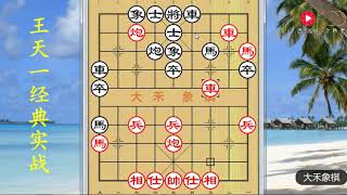 大禾象棋，王天一点睛一招棋，20回合拿下对手