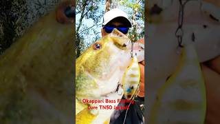 Okappari Bass Fishing Lure TN50 Jackall #shorts #short #shortsvideo #shortvideo #shortsfeed #tn50