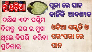 #muodia  ଓଡିଆ ସଂସ୍କୃତି ଓ ପରମ୍ପରାରେ ପାନର ମହତ୍ତ୍ବ ॥