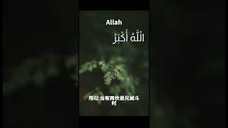 古兰经注释（寝室章）#穆罕默德 #allah #kuran #古兰经 #islam #伊斯兰