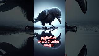 அறிவின் மிகப் பெரிய சக்தி! Maran Marvels #stories #animalstories #kidslearning #kidsvideo #crow