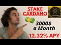 How to STAKE CARDANO 