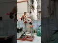 Chinese lion dancing #amazing #talent #viral #fyp #wow #shorts