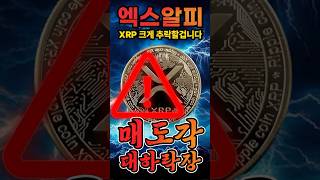 엑스알피 XRP, 이제 끝났다 매수하면 안되는 이유