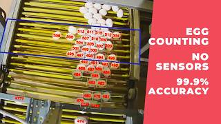Egg Counting on Elevator & Rod Conveyor — AI Camera Solution