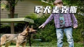 《军犬麦克斯》一条狗当它失去主人那一刻，就等于失去了所有