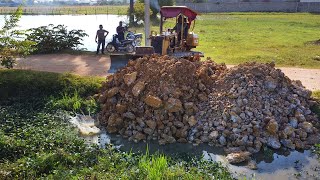 Wonderful Action New Project!! Strong Dozer Pushing Soil Filling Flooded Garbage Canal \u0026 5ton Truck.