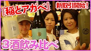 新入荷！稲とアガベの日本酒３種類を飲み比べ！新取引の酒蔵さんを徹底解説！【日本酒】【赤羽：三益酒店】