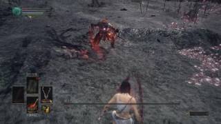 DARK SOULS™ III_20160928194315　等級1　第三輪　薪王們的化身　守墓人雙刀　ng+2