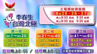 五洲網拍嚴選～北極鴿舍 李春生～6羽來勢洶洶嚴選領前鴿＆60羽北極菁英特作育種鴿