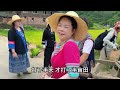 秋子和姐妹们组团去石三妹家打谷子，丫头哥负责搞笑，累并开心着