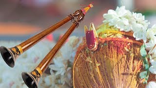 Nadaswaram Music – Mangala Vadyam - Dr.Sheik Chinna Moulana – Carnatic Classical Instrumental Music