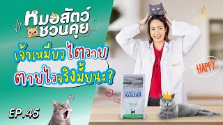 เจ้าเหมียวไตวาย ตายไวจริงมั้ยนะ | หมอสัตว์ชวนคุย EP45