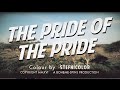 Pride of the Pride - Northern Tanzania 2015