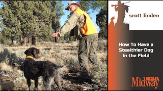 How To Have a Stealthier Dog in the Field | Scott Linden