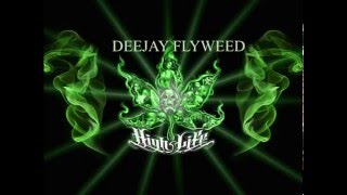 MIX  DANCE HALL JAMAICAIN   by DEEJAY FLYWEED