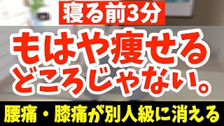 【寝る前3分】マジで寝てる間に体脂肪だけ倍速落ち‼1ヶ月間太ももをもんだらお腹痩せ背中痩せしながら別人級に痩せるマッサージ方法で坐骨神経痛・変形性股関節症・変形性膝関節症も解消【脚やせストレッチ】