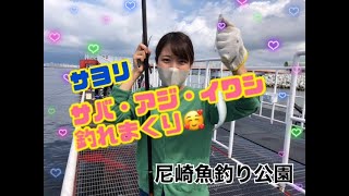 サヨリ魚群♪サバ・イワシ・アジ好調♪尼崎・鳴尾浜海釣り公園　fishingmax武庫川店