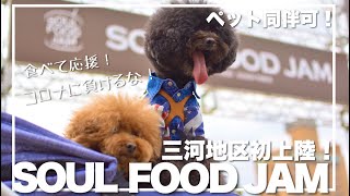 大人気フードフェス「SOUL FOOD JAM vol.9」食べて応援すると意気込むトイプードルが可愛い。多頭飼い　デカプー