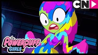 Суперкрошки | Бикини Бьянка | Cartoon Network