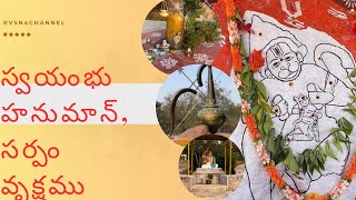 అద్భుతం ఆశ్చర్యం ఎప్పుడు చూడని నిజం  ||స్వయంభు హనుమాన్ ,సర్పంవృక్షము ||Sri Sundaradham Temple||HYD